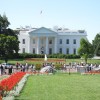 The White House