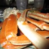 Kjetils "Snow Crab"