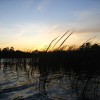 Samme solnedgang, samme tid, samme kanal