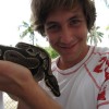 Snakes on a hand