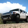 Hummer i sitt rette element, vill natur.